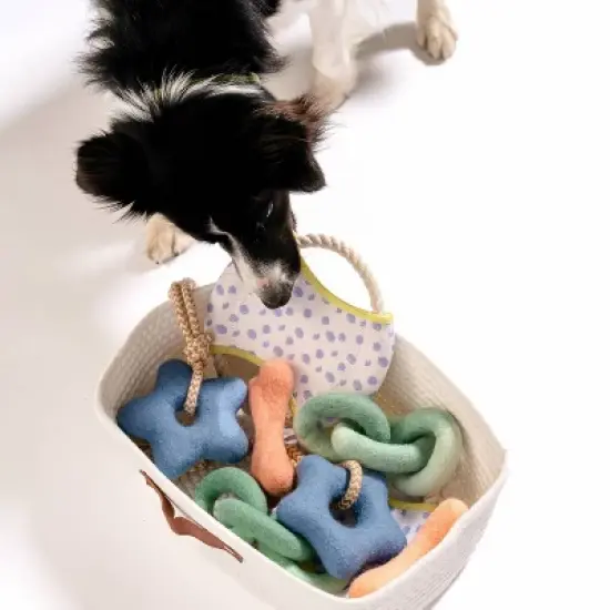 AWOO Comet's Tail Dog Toy image {3}