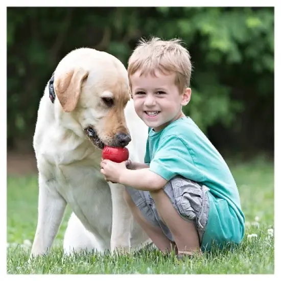 KONG Refillable Classic Chew Dog Toy - Red image {3}