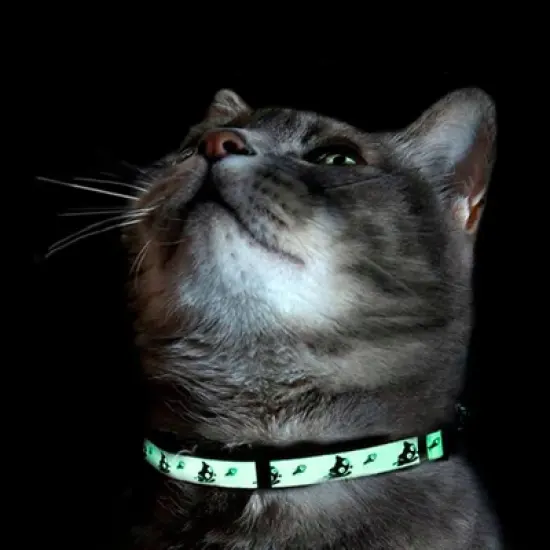 Pawtitas Glow In The Dark Adjustable Cat Collar image {6}