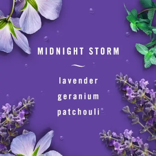 Febreze Car Air Freshener - Midnight Storm - 0.06 fl oz image {4}