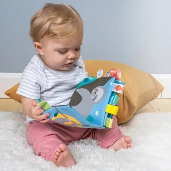 Mary Meyer Sloth Lovey with Silicone Teether & Molasses Sloth Taggies Soft Book image {3}