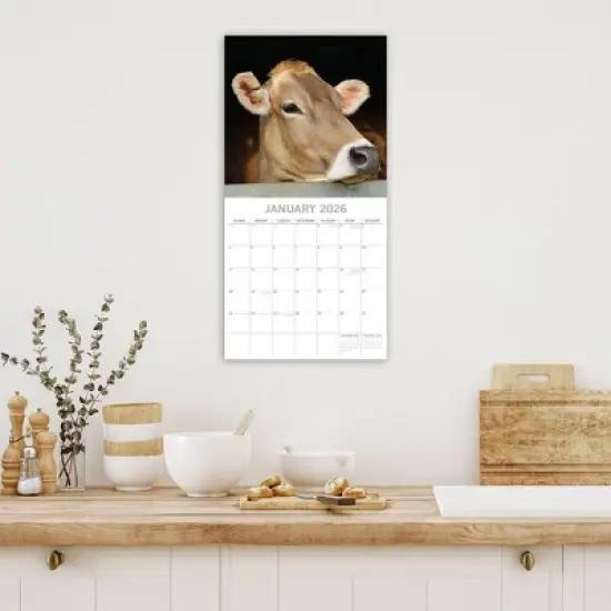 2026 Square Wall Calendar, Cows, 16-Month Animals Theme with 180 Reminder Stickers (12x12 In) image {1}