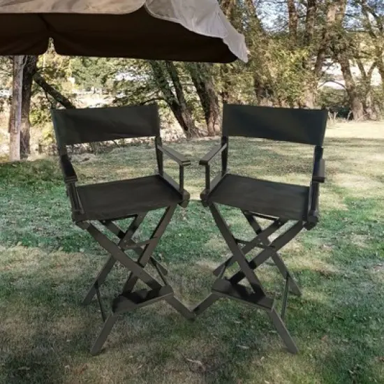 PAGED 2 Piece Outdoor Folding Chair Set Casual Home Director's Chair for adults for Garden, Balcony, Backyard image {5}