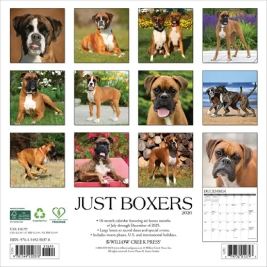 Willow Creek Press 2026 Boxers Wall Calendar image {1}