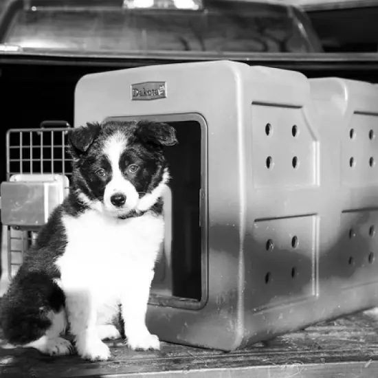 Dakota 283 G3 Small Ventilated Framed Pet Kennel w/Ultra-Secure Lock, Easy-Grip Handle & Keyed Paddle Latching Door for Small-Breed Dogs, Dark Granite image {4}