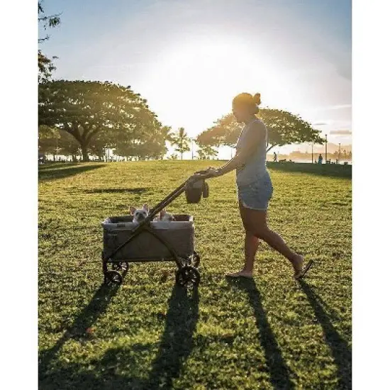 Baby Trend Expedition 2-in-1 Stroller Wagon image {14}