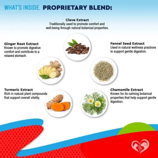 Beloved Pets Natural Intestinal Defense Herbal Cleanse for Dogs and Cats, Advanced Broad Spectrum Formula Gut Health Supplement 2 Oz - 1 Pack image {2}