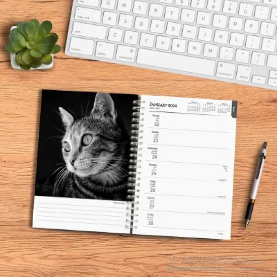 Browntrout 23-2024 Weekly/Monthly Planner 7.5"x7.125"The Regal Cat image {3}