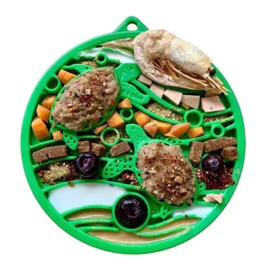 Water Nylon eCoin Durable Enrichment Snacking Coin image {4}