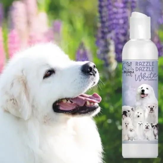 The Blissful Dog Razzle Dazzle White Dog Shampoo image {4}