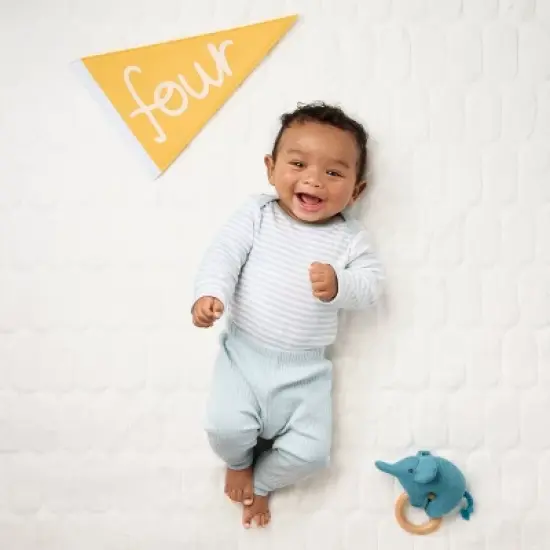 Milestone Felt Pennants - Multi Color - Cloud Island&trade; image {1}