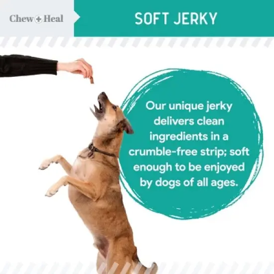 Chew + Heal Wild-Caught Alaskan Salmon Probiotic Soft Jerky Treats for Dogs, Natural Source of EPA & DHA, Promotes Intestinal Well-Being - 12oz image {7}