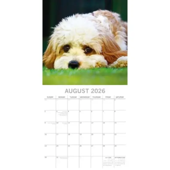 2026 Square Wall Calendar, Celestial, 16-Month Arts & Antiques Theme with 180 Reminder Stickers (12x12 In) image {2}