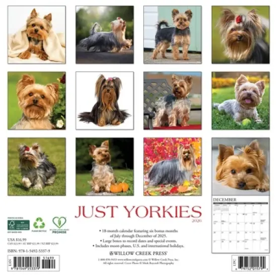 Willow Creek Press 2026 Yorkies Wall Calendar image {1}