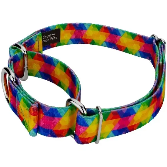 Country Brook Petz Kaleidoscope Martingale Dog Collar image {1}