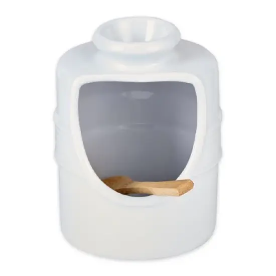 Rsvp White Stoneware Salt Pig image {1}