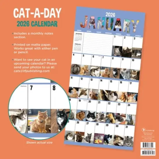 TF Publishing 13.5"x14.5" 2026 Cat-A-Day Wall Calendar image {4}