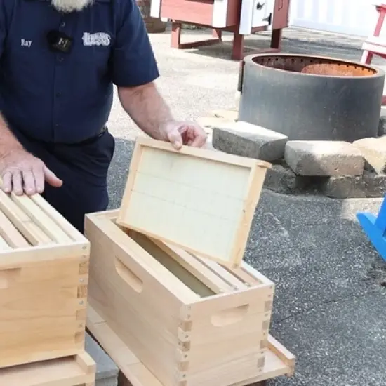 Lehman's Beekeeping Deep Nuc Box, Assembled Super or Brood Box with Beeswax Foundation Frames for 5 Frame Honeybee Hives, Amish Made image {2}