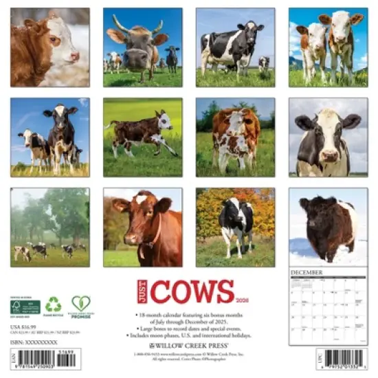 Willow Creek Press 2026 Cows Wall Calendar image {1}