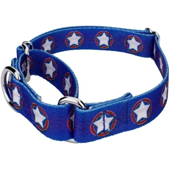 Country Brook Petz - American Stars Martingale Dog Collar image {1}