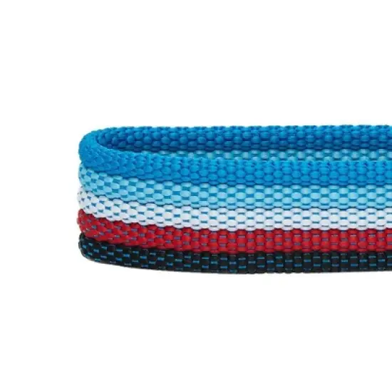 Blueberry Pet Stripe Adjustable Dog Collar image {2}