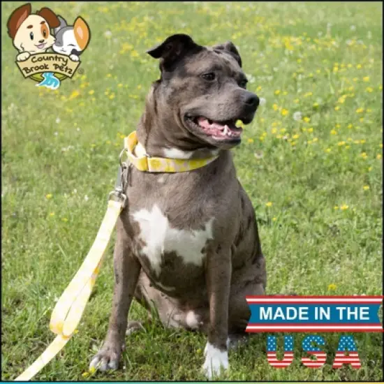 Country Brook Petz 6 Foot Dog Leash - Tasty Collection image {1}