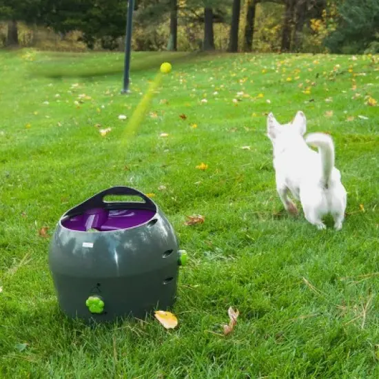 PetSafe Automatic Ball Launcher - Gray image {8}