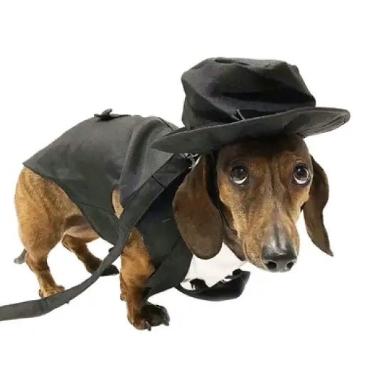 Midlee Dog Tuxedo Wedding Suit- Black Top Hat & Leash image {4}