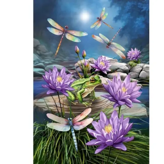 Briarwood Lane Summer Garden Flag 12x18 For Outdoor Dragonflies and Frog For Summer Garden Flag Flags For Outside image {4}