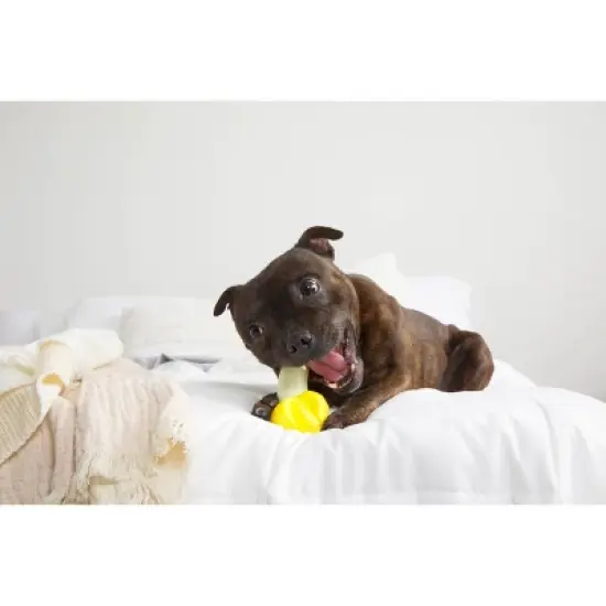 BARK Ba-gnaw-na Super Chewer Dog Food Shaped Toy image {3}