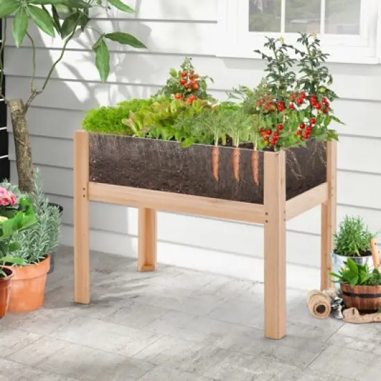 Tangkula Raised Wooden Garden Bed with Legs 24"/31&rdquo; Elevated Planter Box with 2 Acrylic Panel Sides Drain Holes, Movable Beds image {1}