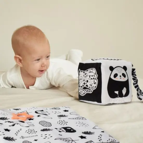 Tummy Time Toys Set: High Contrast Book, Toy Block, Crinkle Paper & Teether - Sensory Development Toys for Newborns & Infants 0-6 Months image {5}