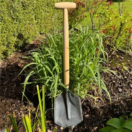 DeWit Rounded Shovel &ndash; Compact & Durable with Ergonomic T-Handle image {2}
