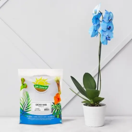 Soil Sunrise 100% Organic Orchid Potting Bark, Natural USA-Sourced Pine Bark Additive image {1}