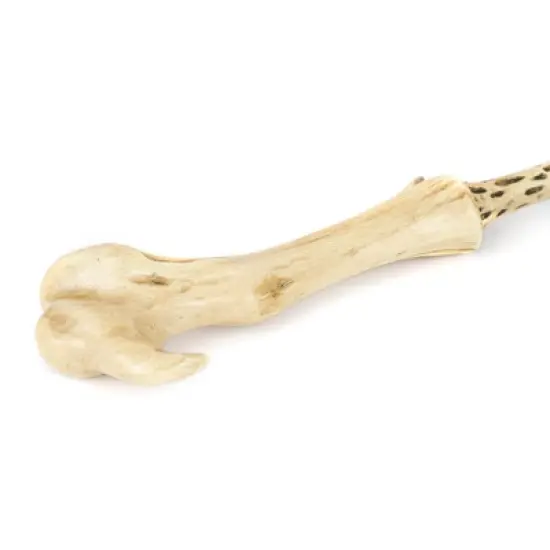 Harry Potter - Voldemort Wand in Ollivanders Collector's Box image {3}