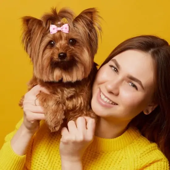 Unique Bargains Cute Dogs Cats Puppies Bows Pink Dog Hair Bows with Dots Pattern Grooming Barrette Clip Accessories 5 Pcs image {6}