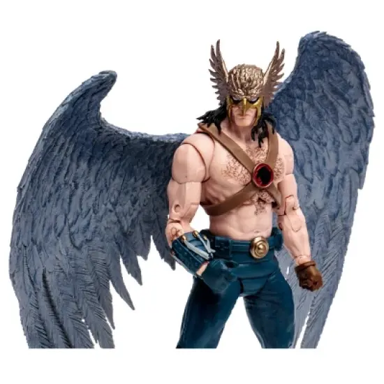 McFarlane Toys DC Comics Collector Series Figure - WV2 Hawkman image {4}