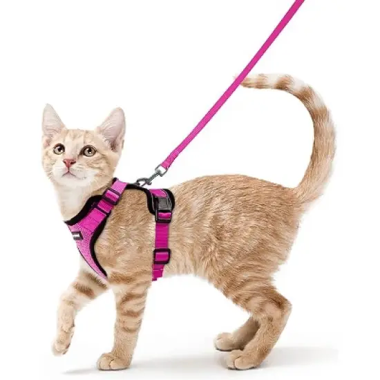 rabbitgoo Cat Harness and Leash Set image {3}