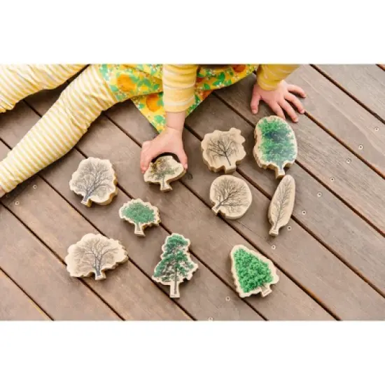 The Freckled Frog Seasons image {3}