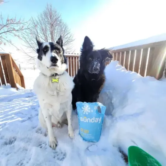 Sunday Outdoor Ice Melt 7lbs image {5}