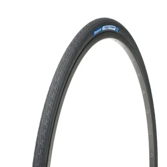 Panaracer Pasela ProTite Wire Urban/Commuter Tire image {1}
