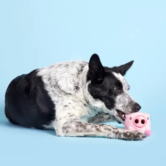 BARK Super Chewer Pig Dog Toy - Hambone image {2}