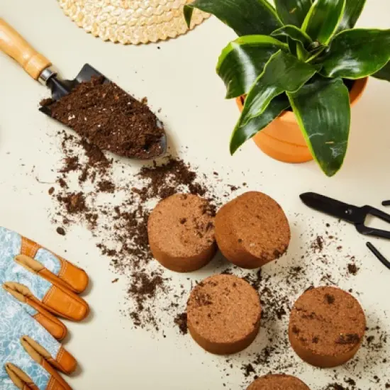 Farmlyn Creek 30 Pack Compressed Coco Coir Plant Pot Pellets Disc, Bulk Gardening Seed Starters for Soil Mix, 2.75 In image {1}