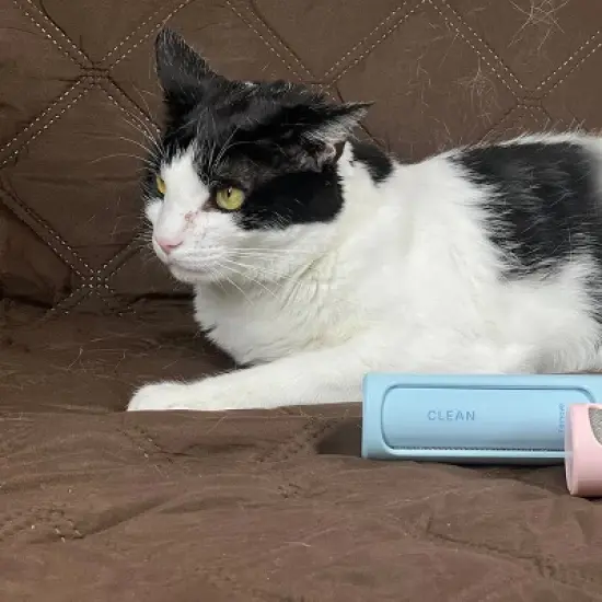 Grand Fusion Twist N Clean Lint Brush, Blue, 2 pk image {3}