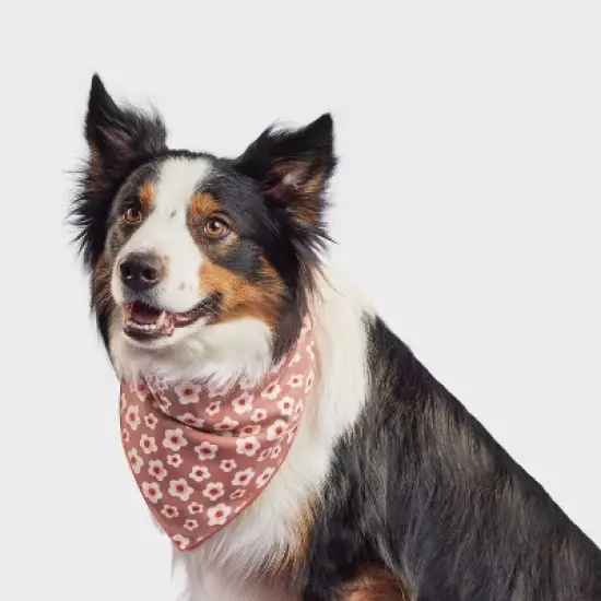 Floral Dog Bandana - Boots & Barkley&trade; One Size Fits Most image {3}