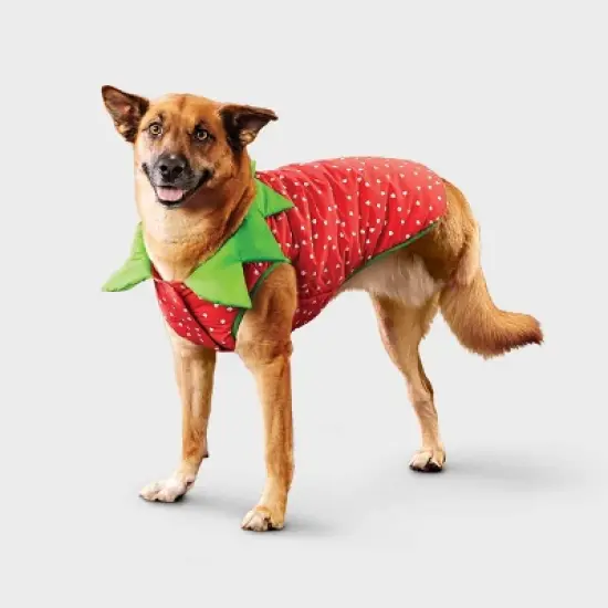Reflective Strawberry Dog Vest - Boots & Barkley&trade; Cherry Red image {9}