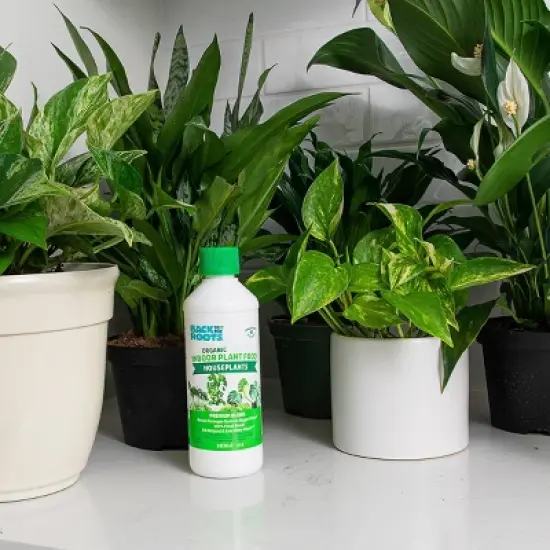 Back to the Roots All Purpose Plant Food 1.5lb image {2}