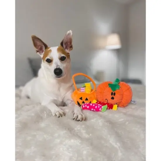 Midlee Find a Toy Halloween Pumpkin Bucket Dog Toy image {4}