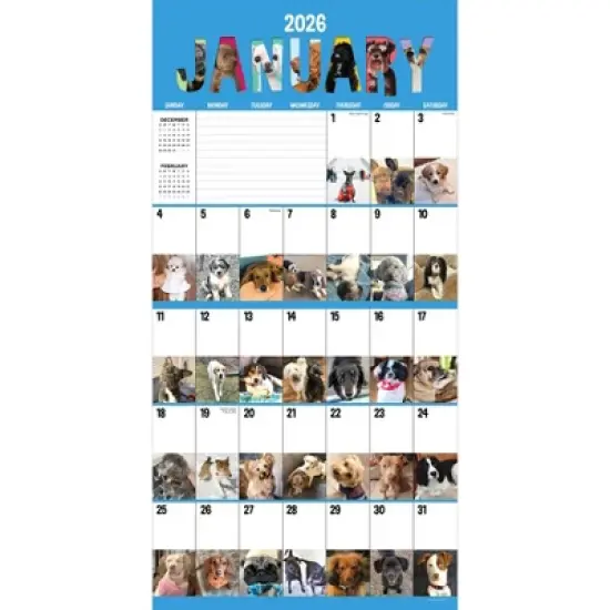 TF Publishing 13.5"x14.5" 2026 Dog-A-Day Wall Calendar image {5}