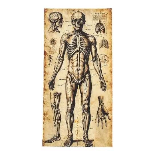 ATC Human Anatomy Door Curtain Halloween Decoration - Off-White image {1}